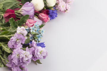 There are fresh purple pink stoke flowers background.