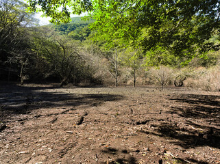 干上がった沼のようなくじゅう連山そばばっけ