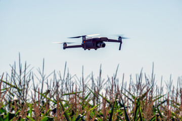 Drone and Agriculture Industry