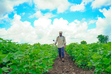 indian farmer spraying pesticide at cotton field