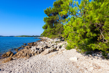 Fototapeta na wymiar The natural beach Zlatni rt (Golden Cape) in Rovinj town, Croatia
