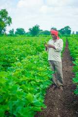 young indian farmer at cotton field , India