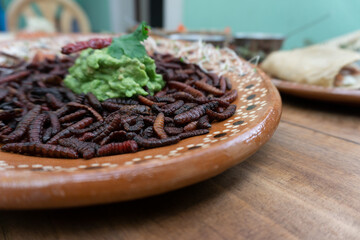 Typical traditional Mexican dish, maguey red worm, roasted chinicuil with guacamole