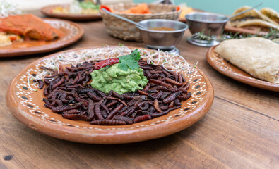 Typical traditional Mexican dish, maguey red worm, roasted chinicuil with guacamole