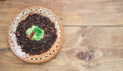 Typical traditional Mexican dish, maguey red worm, roasted chinicuil with guacamole