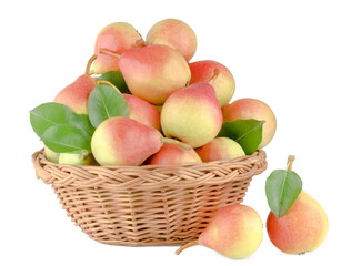 Pears in basket isolated on white background