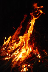 fire was burning in the dark