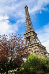 The Eiffel Tower, Paris