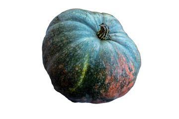 pumpkin photo, isolate, the harvest in the fall, Halloween