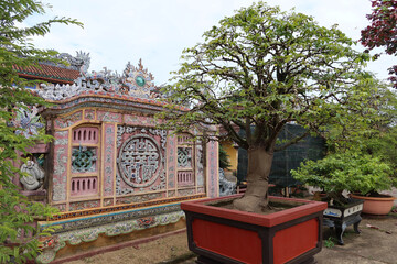 Hoi An, Vietnam, February 21, 2020: Bonsai next to a decorated wall in the garden of the Chùa Phước Lâm temple. Hoi An, Vietnam