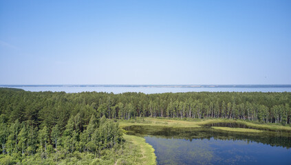 Aerial photo of forest boggy lake in the Karakansky pine forest near the shore of the Ob reservoir.