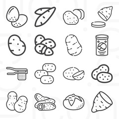 16 pack of root vegetable  lineal web icons set
