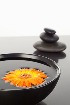 Orange gerbera floating on a black bowl and a stack of black peb