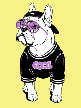 Cute cartoon french bulldog wearing a cap, sunglasses and a t-shirt. Stylish image for printing on any surface