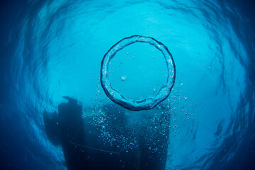 A bubble ring blown under a boat in the ocean