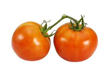 Red ripe tomatoes isolated on white background