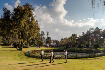 people geathered at botanical garden in ooty,tamilnadu