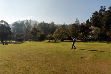 people geathered at botanical garden in ooty,tamilnadu