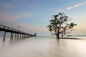 Fototapeta na wymiar Silhouette of sunrise over single mangrove tree with wood bridge in sea, Trad of Thailand