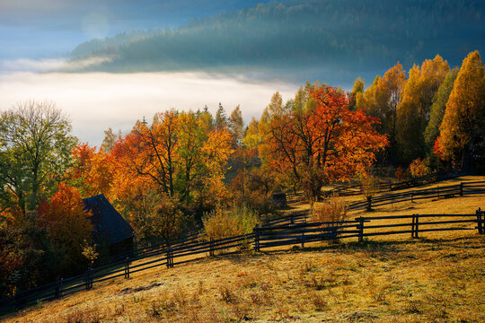 stunning rural landscape. foggy scenery at sunrise in autumn season. trees on mountain hills in colorful foliage. fence on the hillside