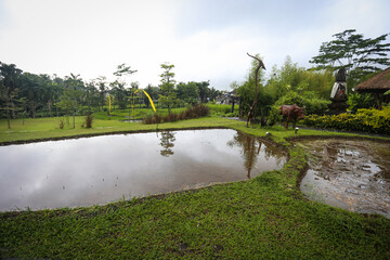 Bale Udang Mang Engking, Bali