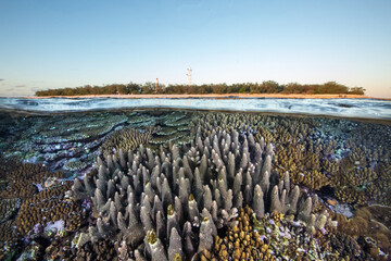 Low Tide over the Great Barrier Reef at Lady Elliot Island