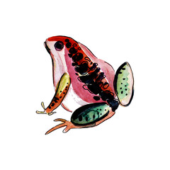 Watercolor colorful frog with black outline. Animal illustration.
