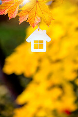 The symbol of the house house on a background of yellow maple leaves