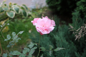 Москва в октябре