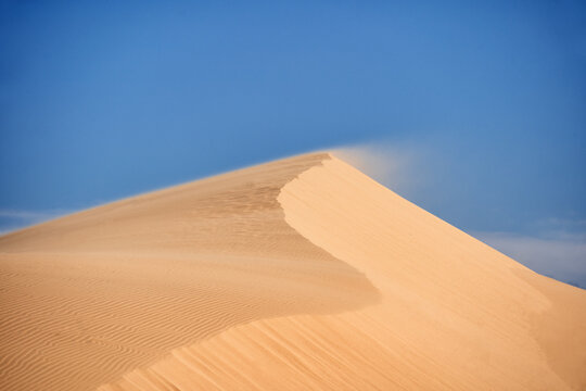 Desert of North Africa, sandy barkhans