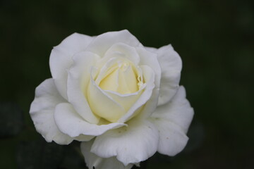 Москва в октябре