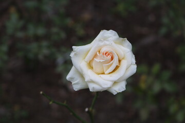 Москва в октябре