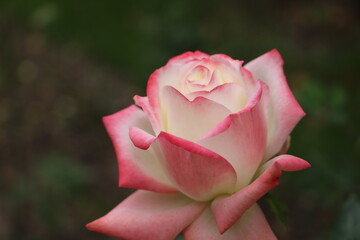 Москва в октябре