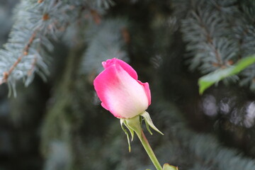 Москва в октябре