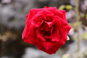 Москва в октябре