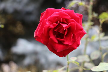 Москва в октябре