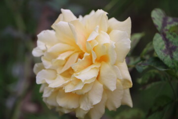 Москва в октябре