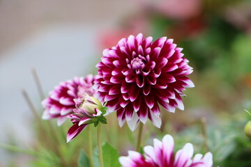 Москва в октябре