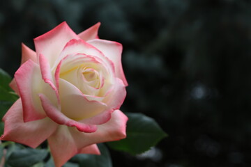 Москва в октябре