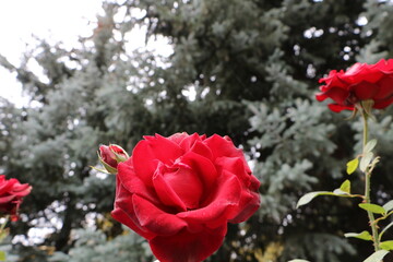 Москва в октябре