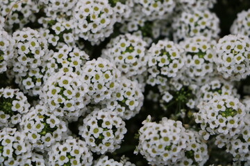 Москва в октябре