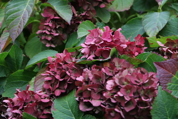 Москва в октябре