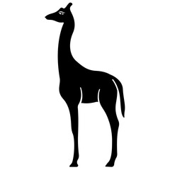 Obraz premium Giraffe, wild animal, zoo animal 