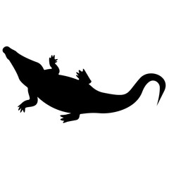 
Reptile glyph icon
