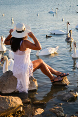 Beautiful girl among white swans at sunset.