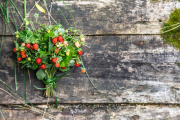 Red strawberries berry and white flowers in wild meadow, close up.Summer bunch of ripe berries view.Mix berries in mug on wood background.