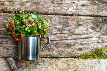 Red strawberries berry and white flowers in wild meadow, close up.Summer bunch of ripe berries view.Mix berries in mug on wood background.