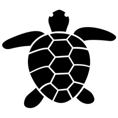 Fototapeta premium Glyph icon of a animal, turtle 