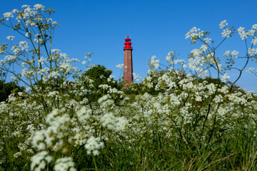 Deutschland,Schleswig-Holstein, Ostseeinsel Fehmarn, Leuchturm Fluegge, Fluegger Leuchtturm. Auch wegen seiner Form Fehmanrner Spargel genannt.