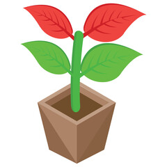 
A potted plant for home decoration 
